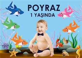 SEVİMLİ KÖPEK BALIĞI